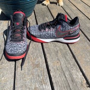 Nike Zoom LeBron NXXT Gen x FaZe Clan Basketball Shoes